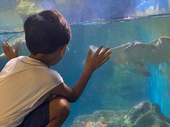 -烟台海昌鲸鲨海洋公园