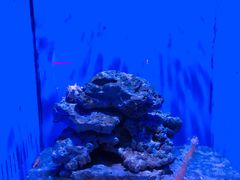 -青岛海底世界-水族馆