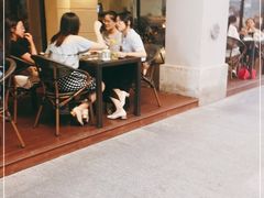 -遇见西木美式餐厅(体育路店)