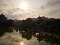 -四海公园(南山区)