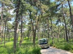 -承德避暑山庄景区