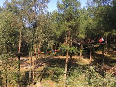 -梦幻奥陶纪景区