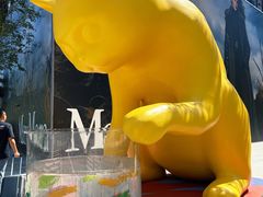 -深圳湾万象城(南山店)