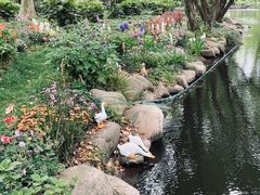 -上海共青森林公园