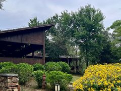 -盘龙城国家考古遗址公园