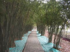 -堤角公园