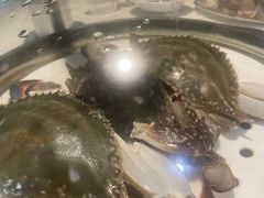 -蔚海之都·象山蒸汽海鲜(仙霞路店)