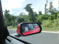 -丽姐租车