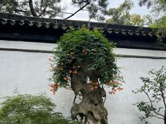 -拙政园