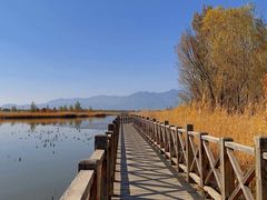 -野鸭湖国家湿地公园
