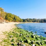 渡了船跨了海爬了山