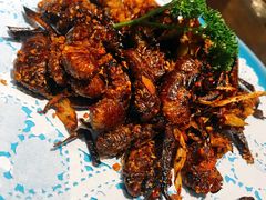 -百味地锅鸡(二店·财校分店)