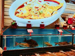 -渔家风味·鲅鱼水饺·央视展播·海鲜天津菜(开发区店)