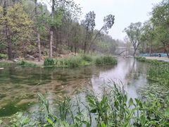 -白水寺森林公园