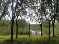 -东郊湿地公园