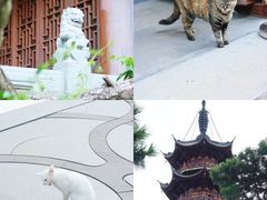 -龙华寺