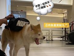 -YCHL Studios健身工作室(市二宫店)