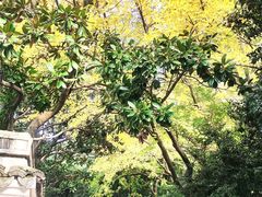 -汇龙潭