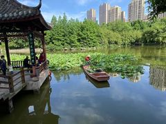 -龙头寺公园