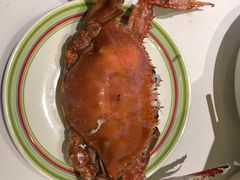 -开海·红岛海鲜虾水饺(石老人店)