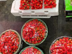 -江杨农产品批发市场