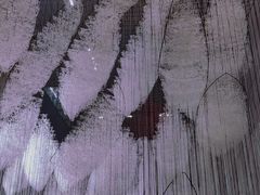 -龙美术馆(西岸馆)