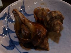 海螺-红叶日料·放题·海胆·定食(星海店)