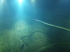 -白鹤梁水下博物馆