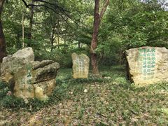 -敬亭山风景名胜区