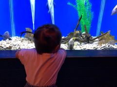 -蟹之国·精品蟹料理(极地店)