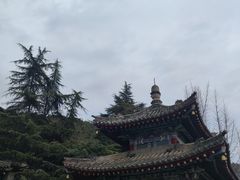 -巴公房子