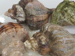白灼海螺-明记海鲜大排档(巽寮湾店)