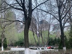 -长白岛森林公园