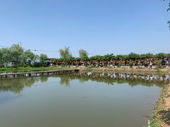 -同銮特种养殖场·龙虾垂钓