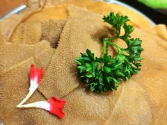 鲜毛肚片-快乐小羊·内蒙牛羊肉火锅(流花中心店)