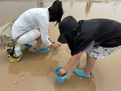 -日照海滨国家森林公园