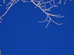 -德克士(宽甸店)