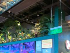 -大头椰·椰子鸡火锅(南宁万象城店)