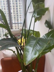 -KeCare科颜精准护肤