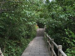-牛背梁国家森林公园