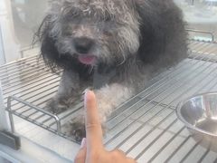 -百联川沙购物中心