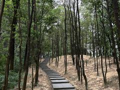 -火炉山森林公园