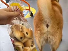 -平安金融中心云际观光层
