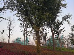-秦文明广场