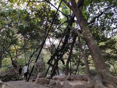 -绮园景区