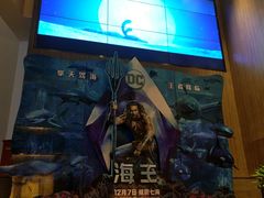 -深影国际影城(学院南路店CGS中国巨幕店)