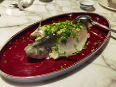 -钟菜·粤菜点心·宴请(海上世界·汇港二期店)