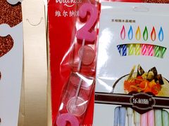 -维尔纳斯·生日蛋糕动物奶油冰淇淋蛋糕(人大店)
