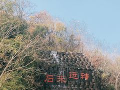 -千年银杏谷文化旅游区
