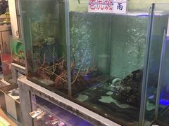 水产区-旅南活海鲜-屏东(墾丁海鮮，海鮮餐廳，墾丁團體合菜，平價熱炒，墾丁熱炒店，活海鮮推薦，在地海鮮餐廳)